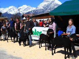 2019_ausstellung polling_372